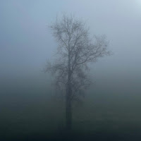Eleftherios - Poison Tree (Ambient Rework) Ft Glo & Exhibit mp3 скачать